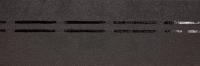 Коньково-карнизная черепица Döcke PIE Eurasia, 11 пог.м, Серый